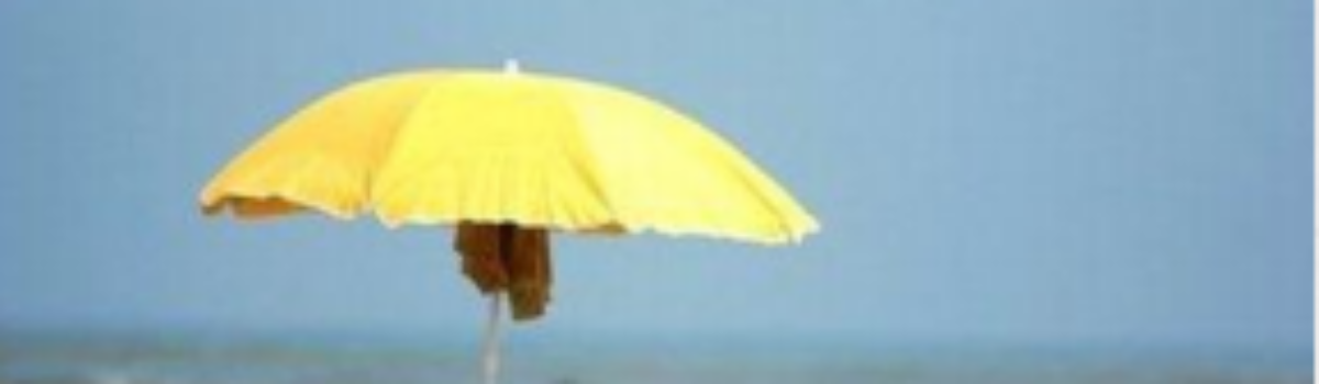 Et Coronafrit Nyhedsbrev – og rigtig god Sommer fra fra din Wise Mind konsulent.