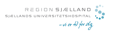 Region SJælland